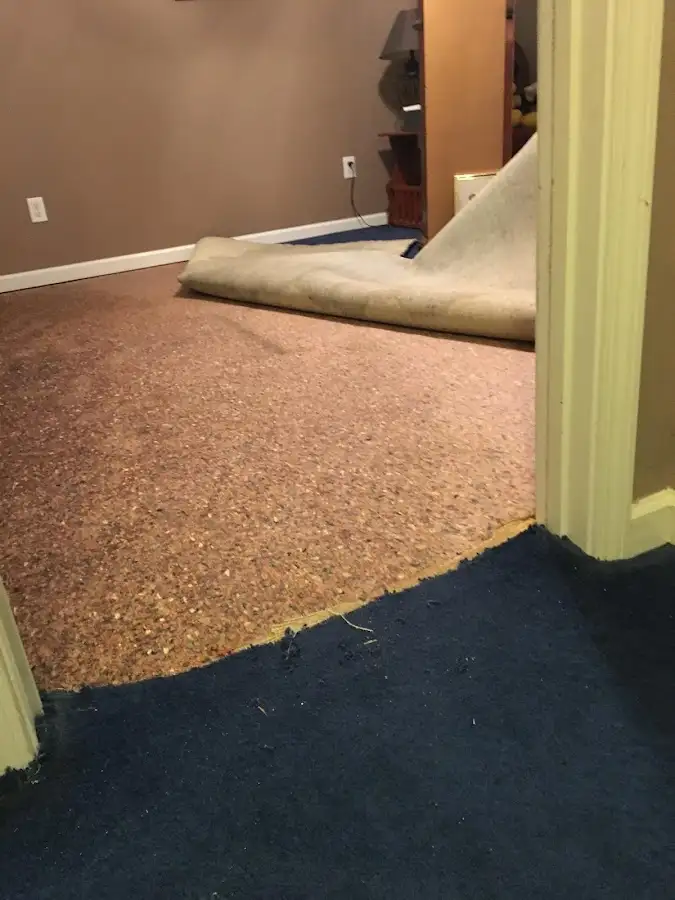 Carpet pad removal revealing water damage during Drying & Dehumidification in Absecon