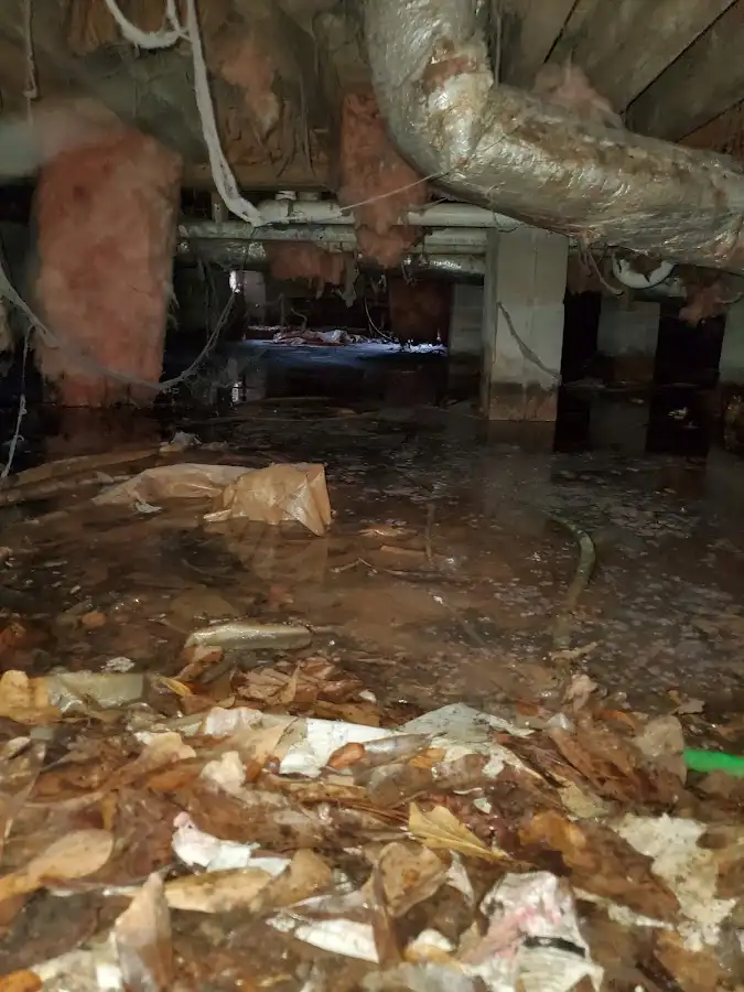 Crawl space flood assessment for Leak Detection & Repair in Absecon